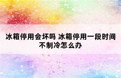 冰箱停用会坏吗 冰箱停用一段时间不制冷怎么办